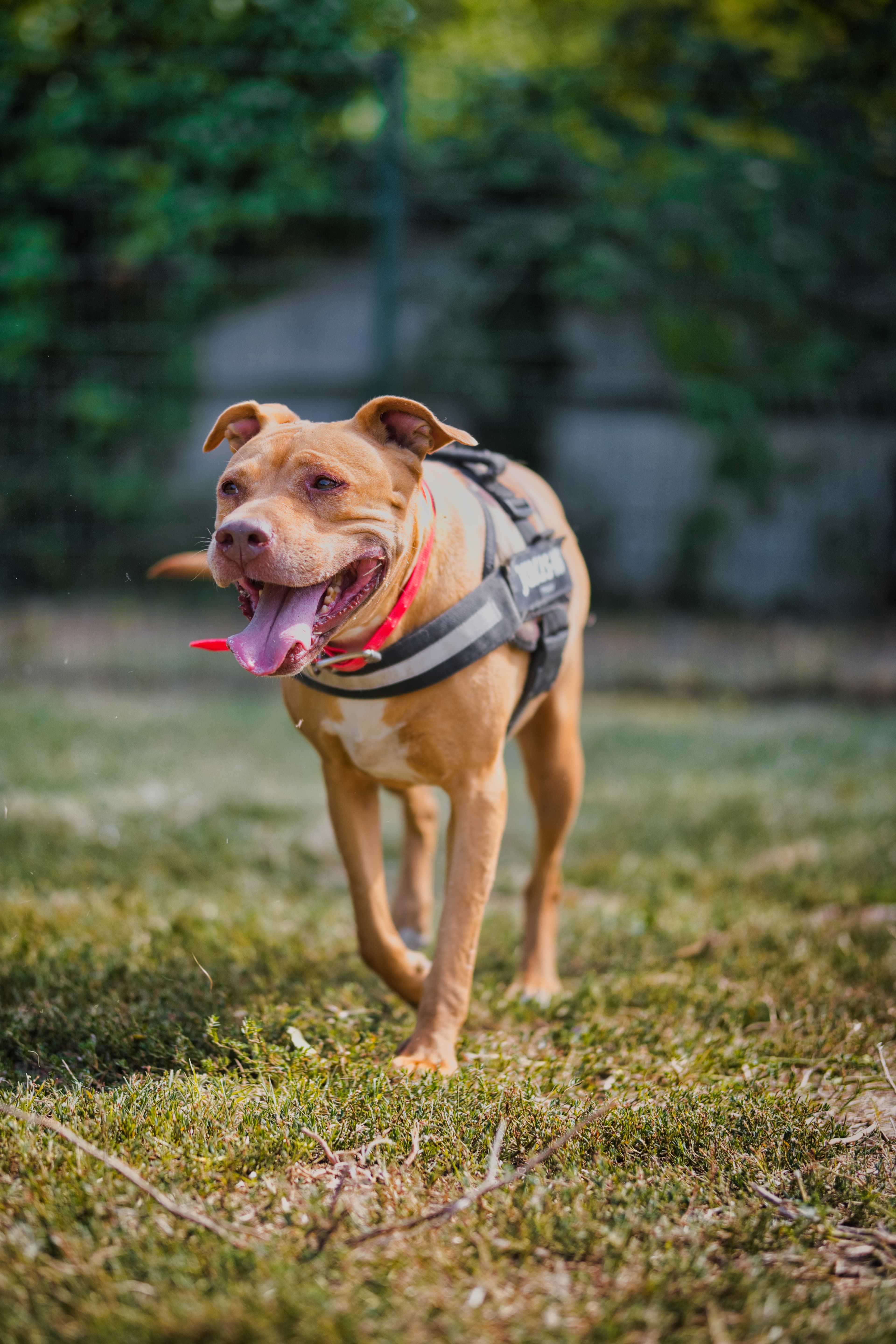 NALA miniature 2