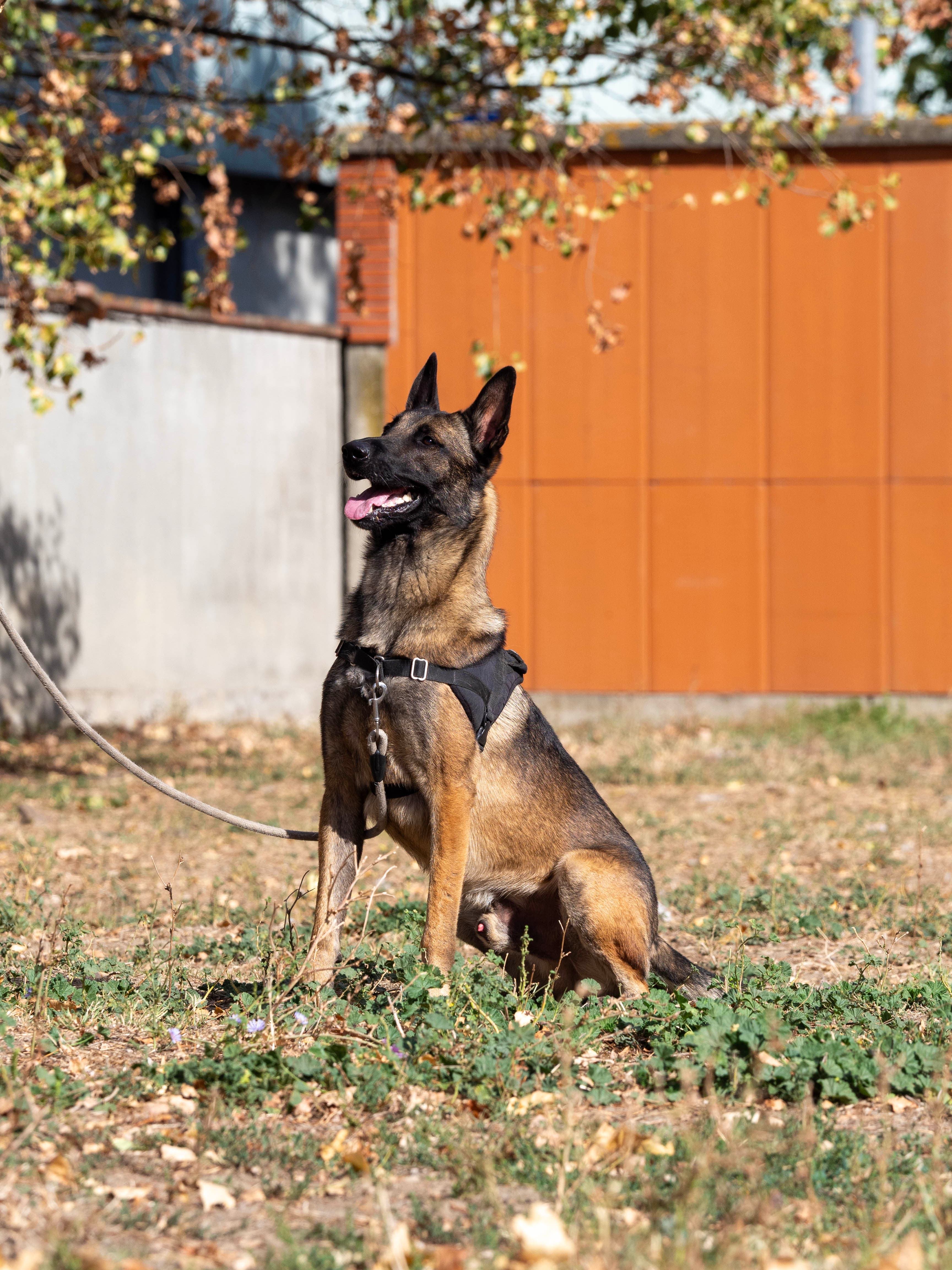 KOBA miniature 2