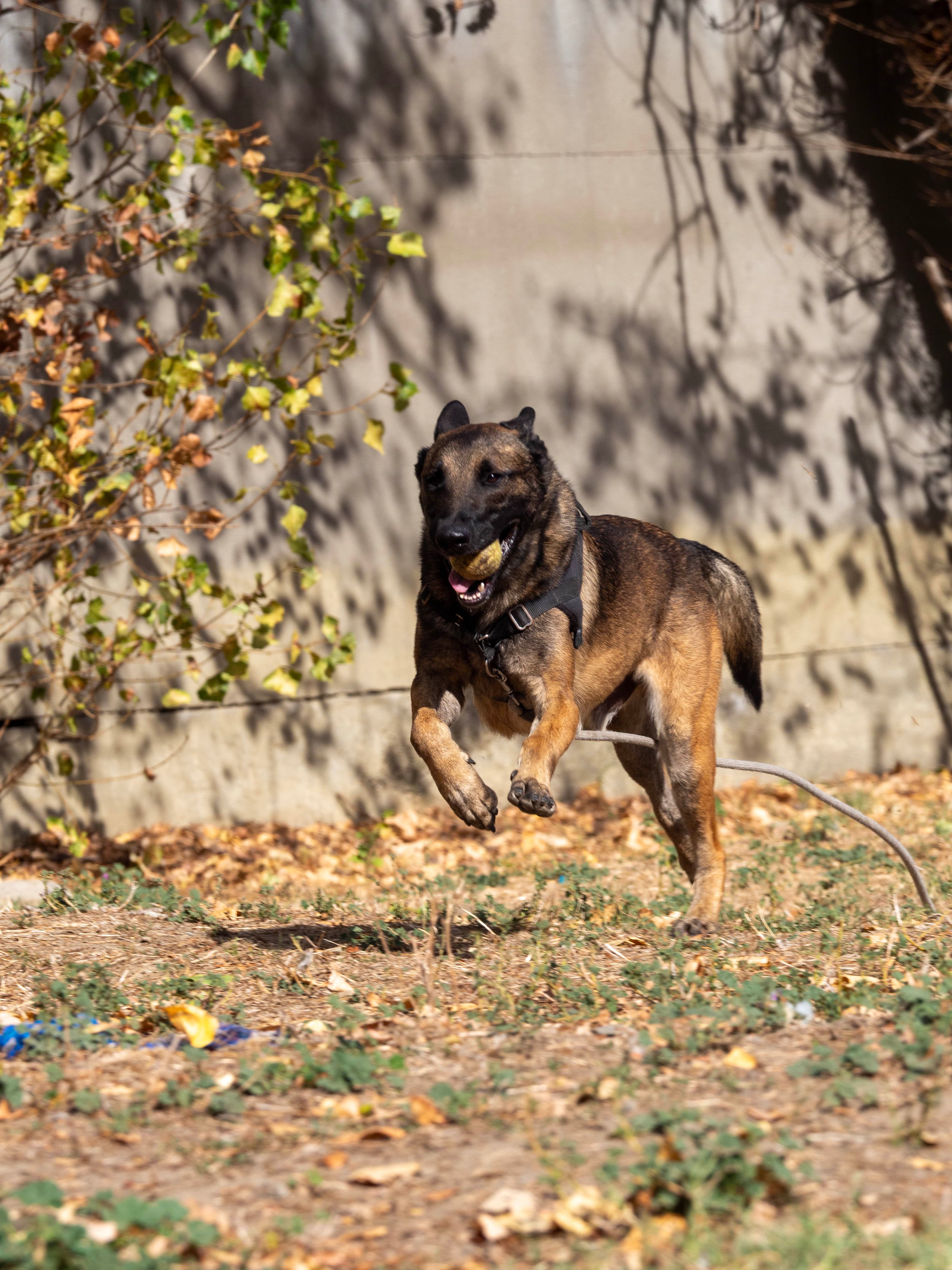 KOBA miniature 3