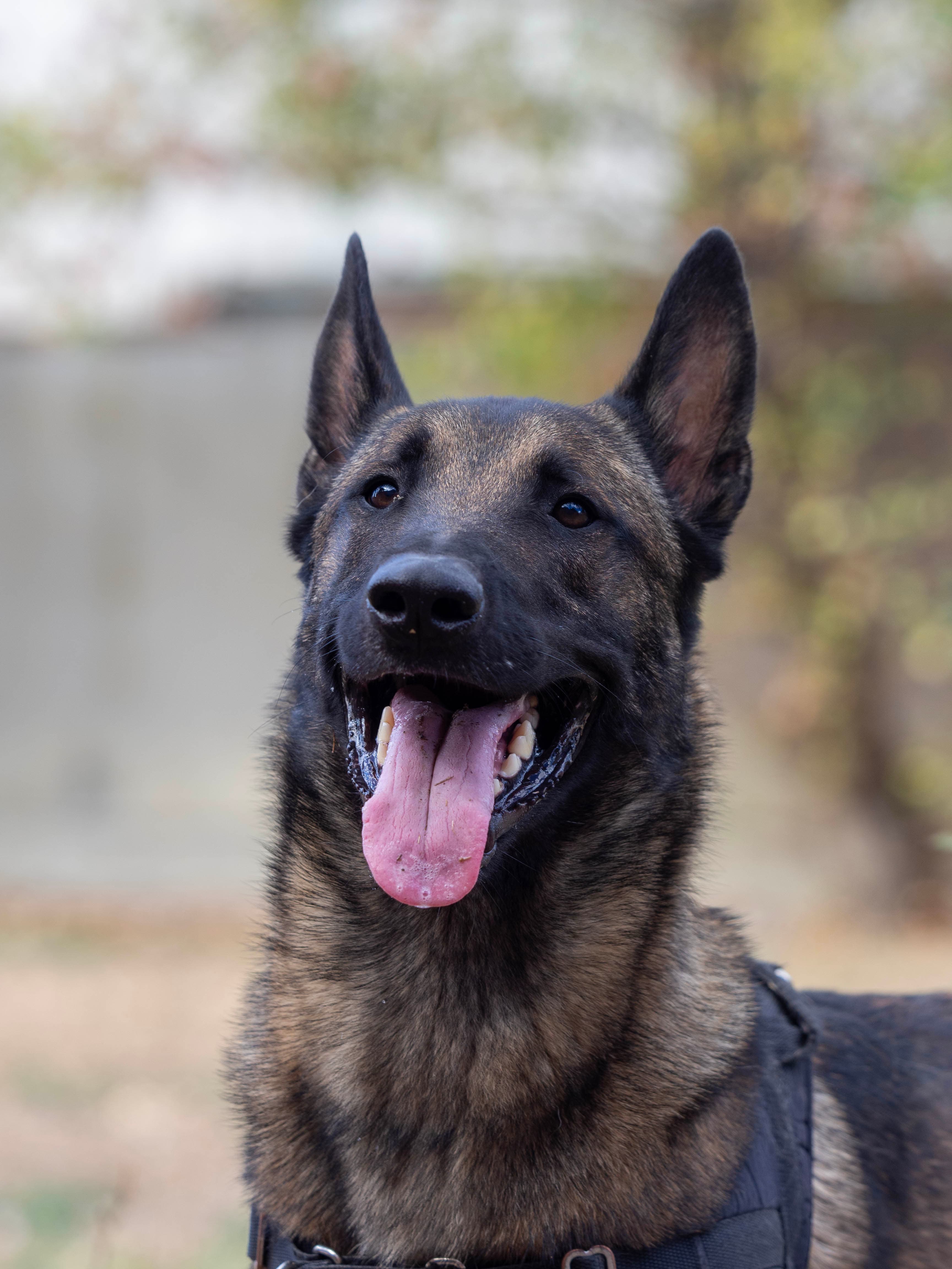 KOBA miniature 5