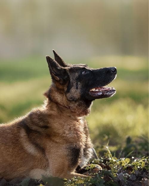 Photo principale de NARKO