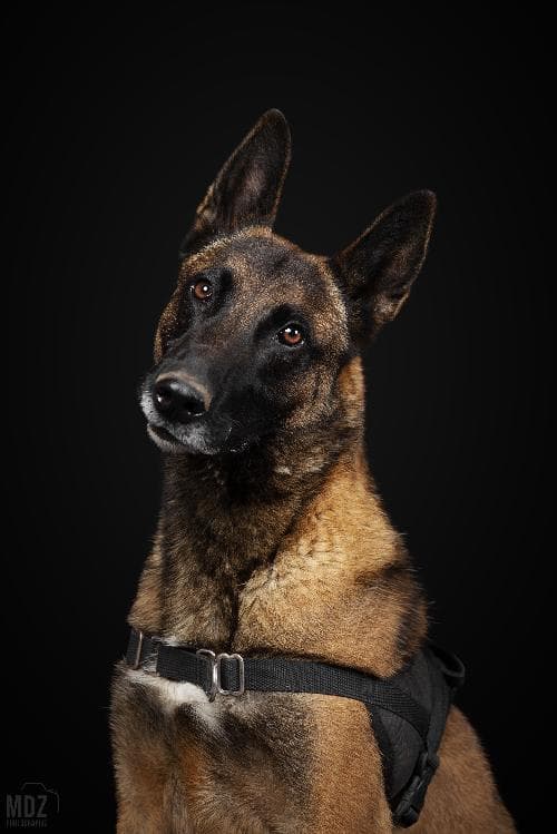 Main photo of NARKO