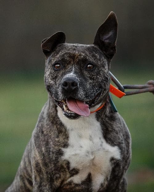 Photo principale de FRANCK / SPYKE