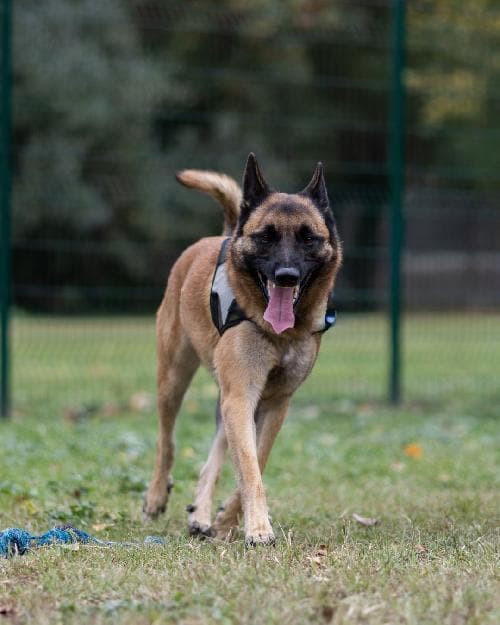 Photo principale de REX