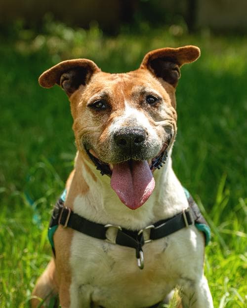 Photo principale de KYRA