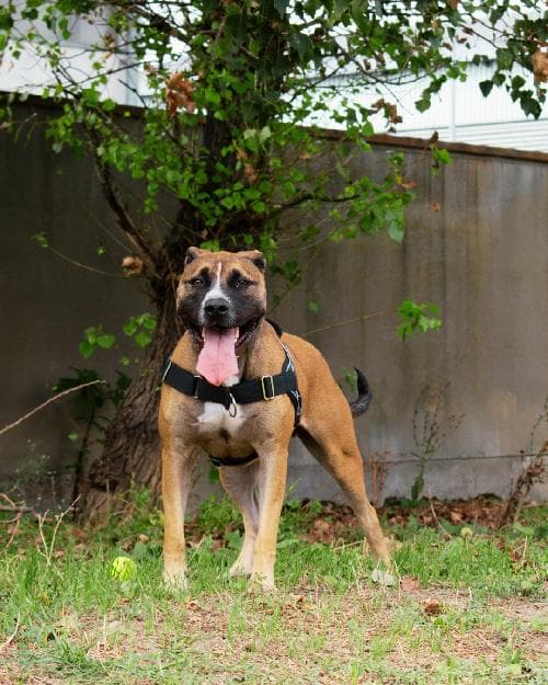 Photo principale de OSLO