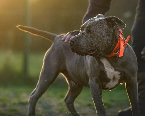 Photo principale de TAYKI