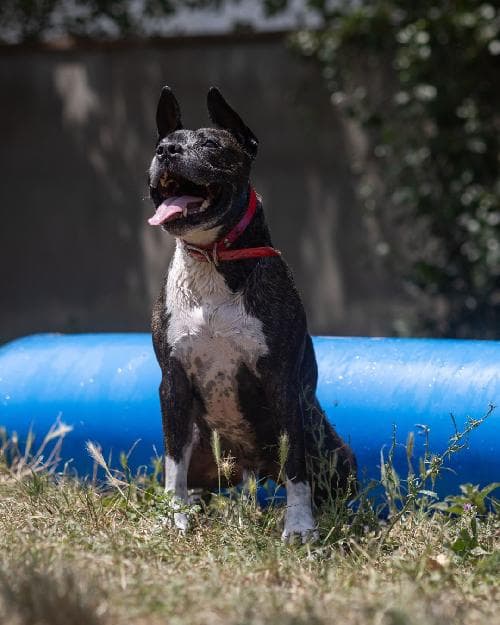 Photo principale de NYRON