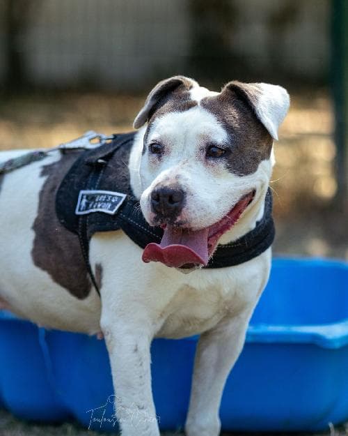 Photo principale de MALA