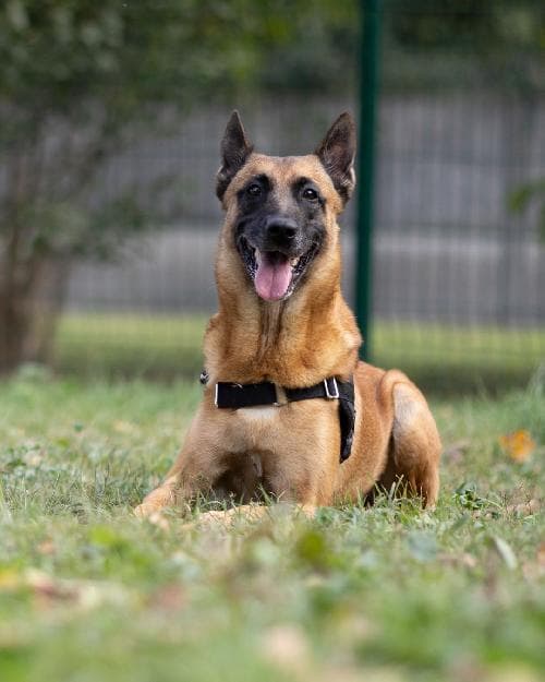 Photo principale de ORNA