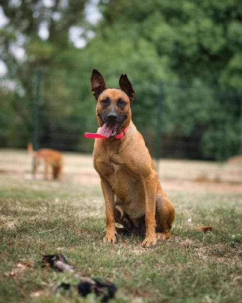 Photo principale de KALA