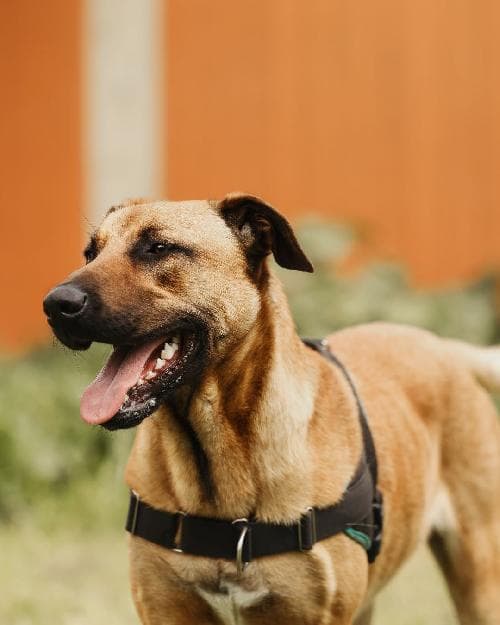 Photo principale de PINTA