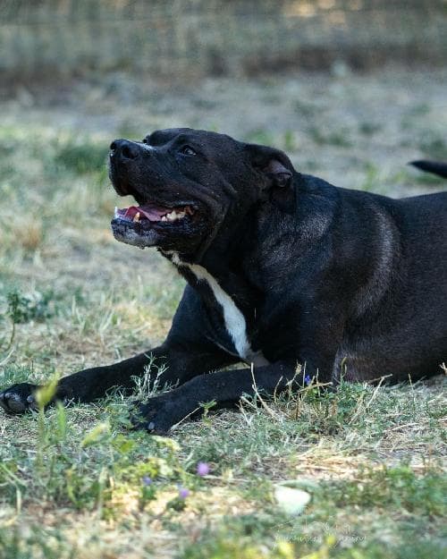 Photo principale de KIRA