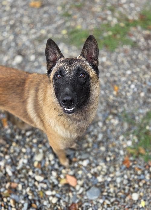 Photo principale de VAKO