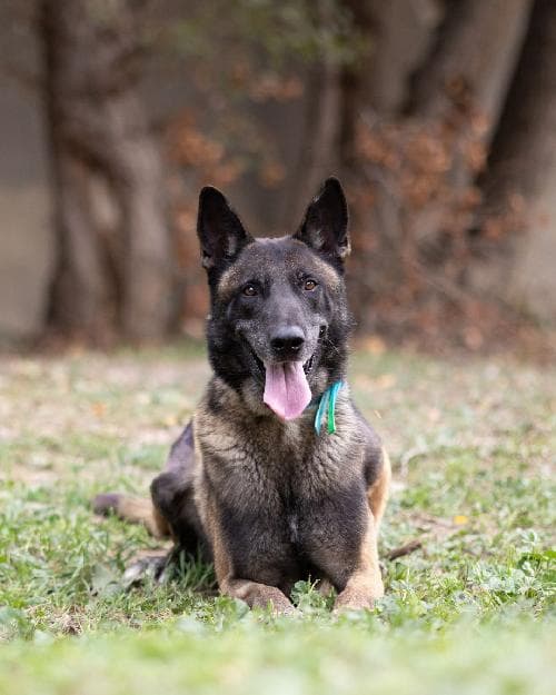 Photo principale de SNOW