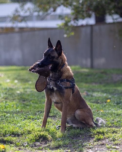 Photo principale de SUNNY