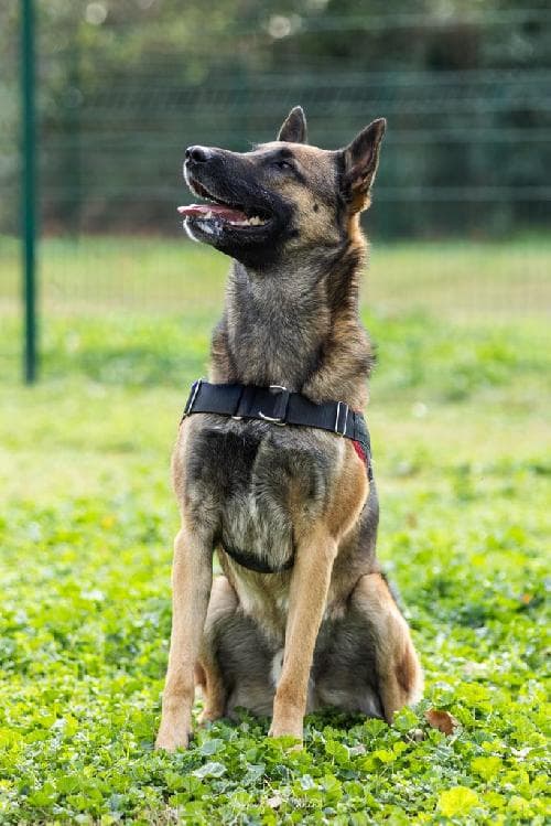 Main photo of CARRASCO