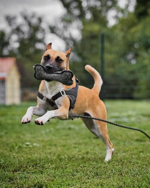 Photo principale de POLA