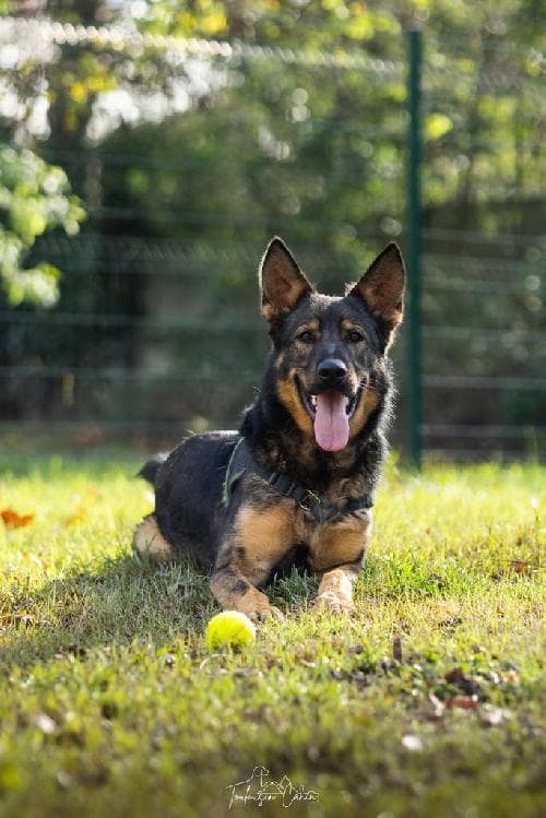 Photo principale de NYX