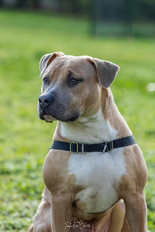 Photo principale de ASTRO