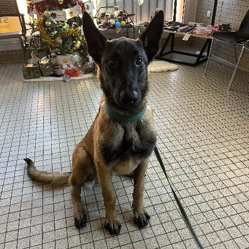 Photo principale de ATHOS