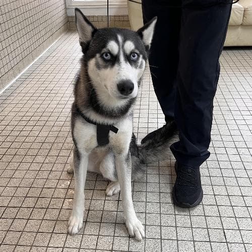 Photo principale de LORENA