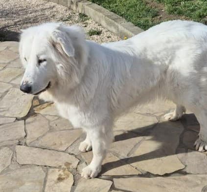 Main photo of TALLIA