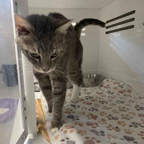 Main photo of CRUMBLE