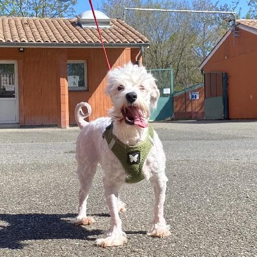 Main photo of ODELIA