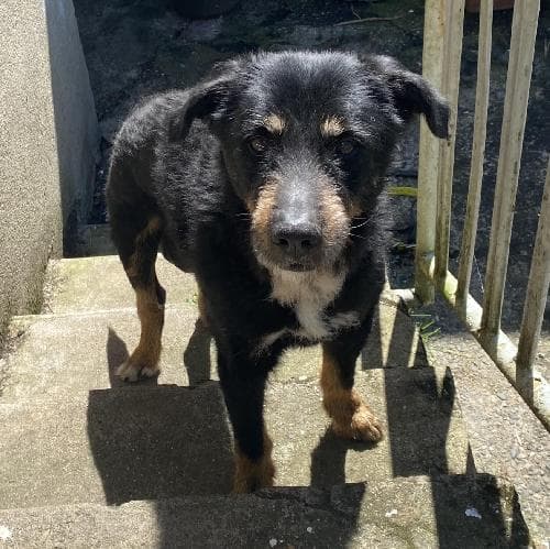 Main photo of KAISER