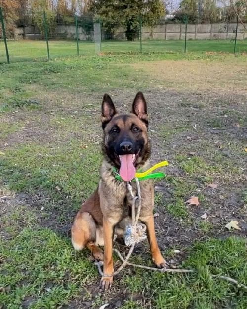 Photo principale de RIO