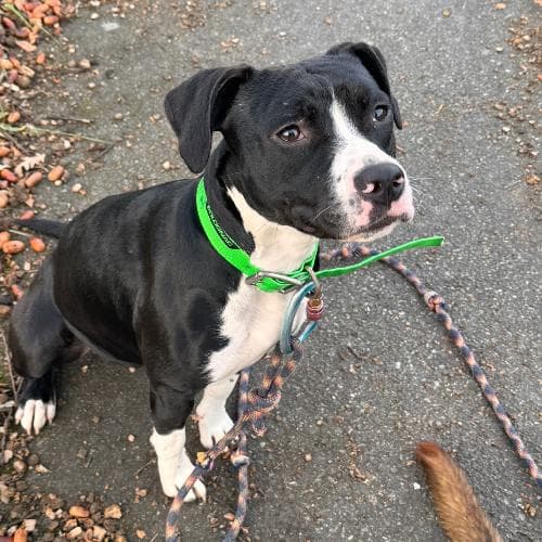 Photo principale de NINA