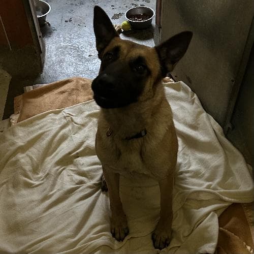 Photo principale de BELLA