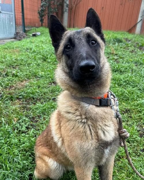 Main photo of ABU