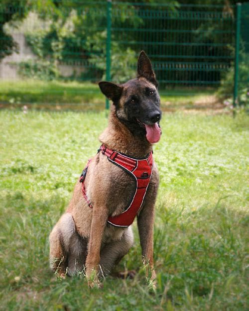 Main photo of JILA