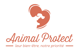 Logo Animal protect